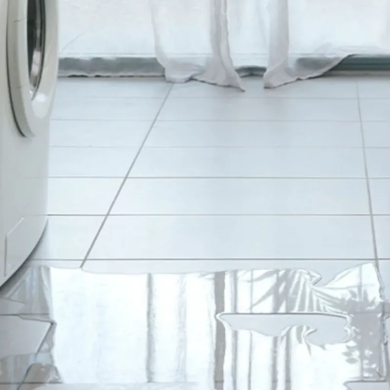 Appliance Leak Cleanup in Bracey, VA