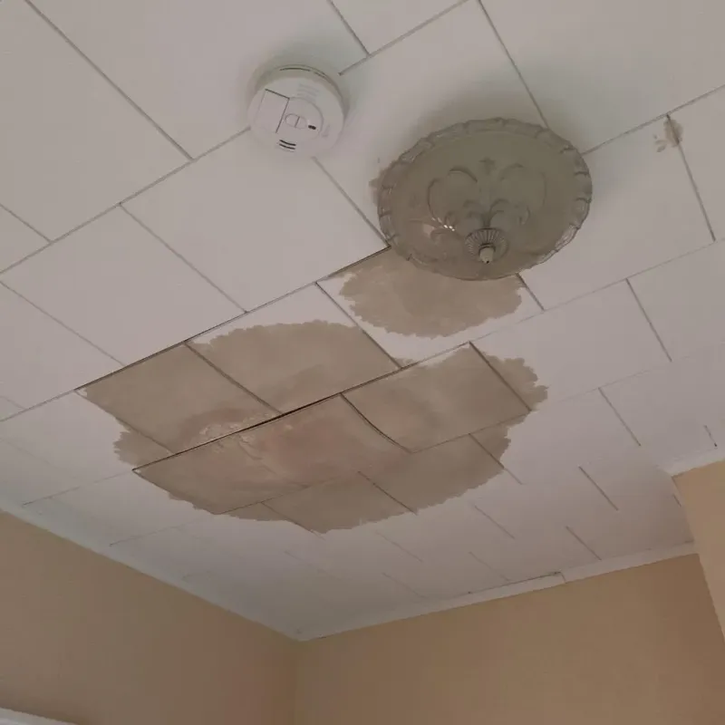 Ceiling Water Damage Repair in Bracey, VA