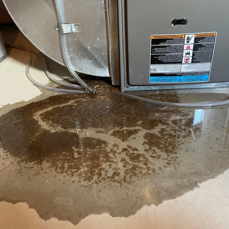 Pipe Burst and Leak Restoration in Bracey, VA