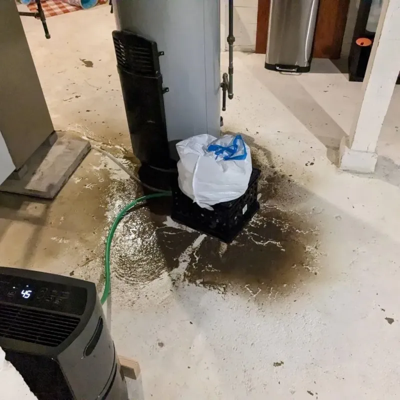 Sewage Backup Cleanup Service in Bracey, VA